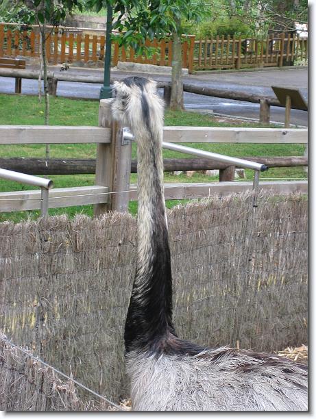 Diapositiva siguiente